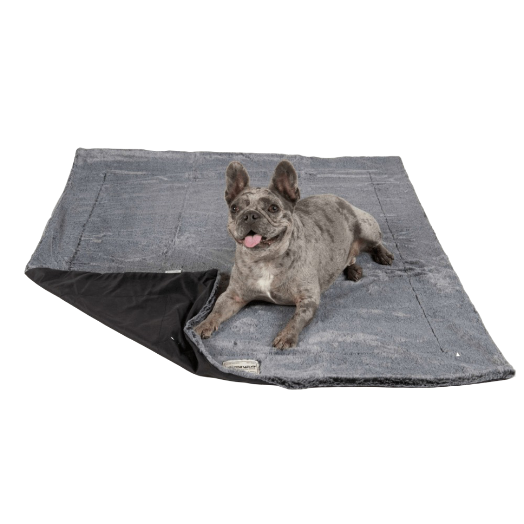 Itchy Witchy Soothing Dog Blanket With Essential Oils Black