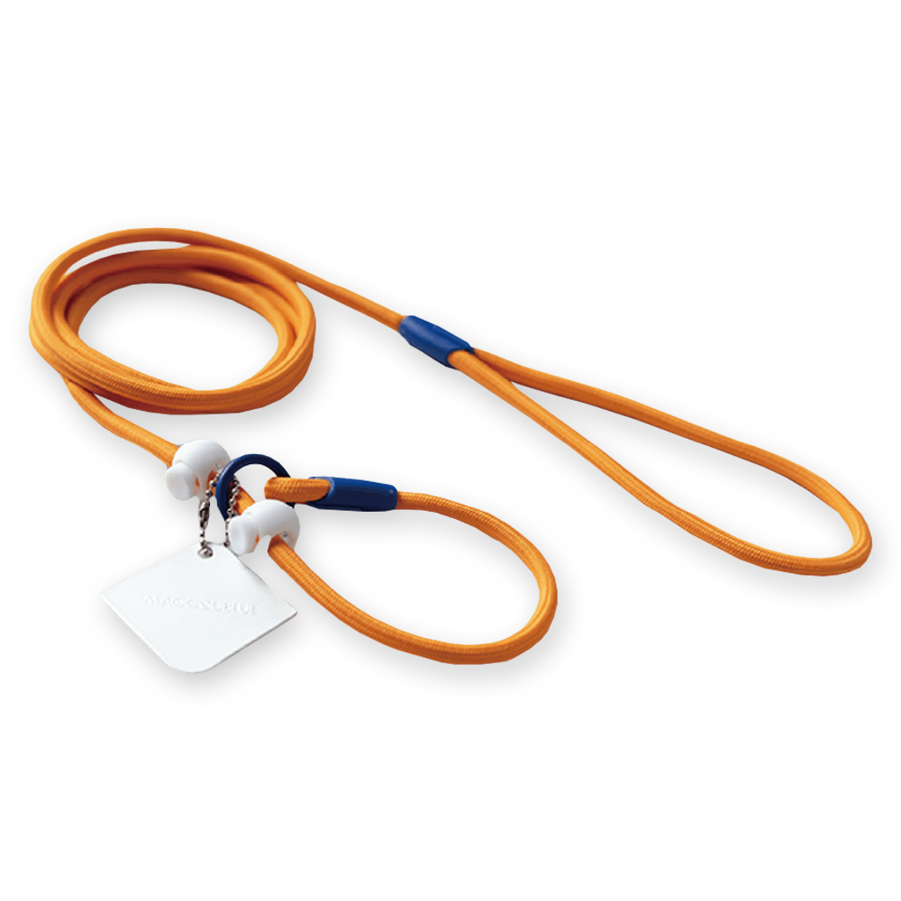 Maogou Blue Dog Slip Lead in Pumpkin Orange