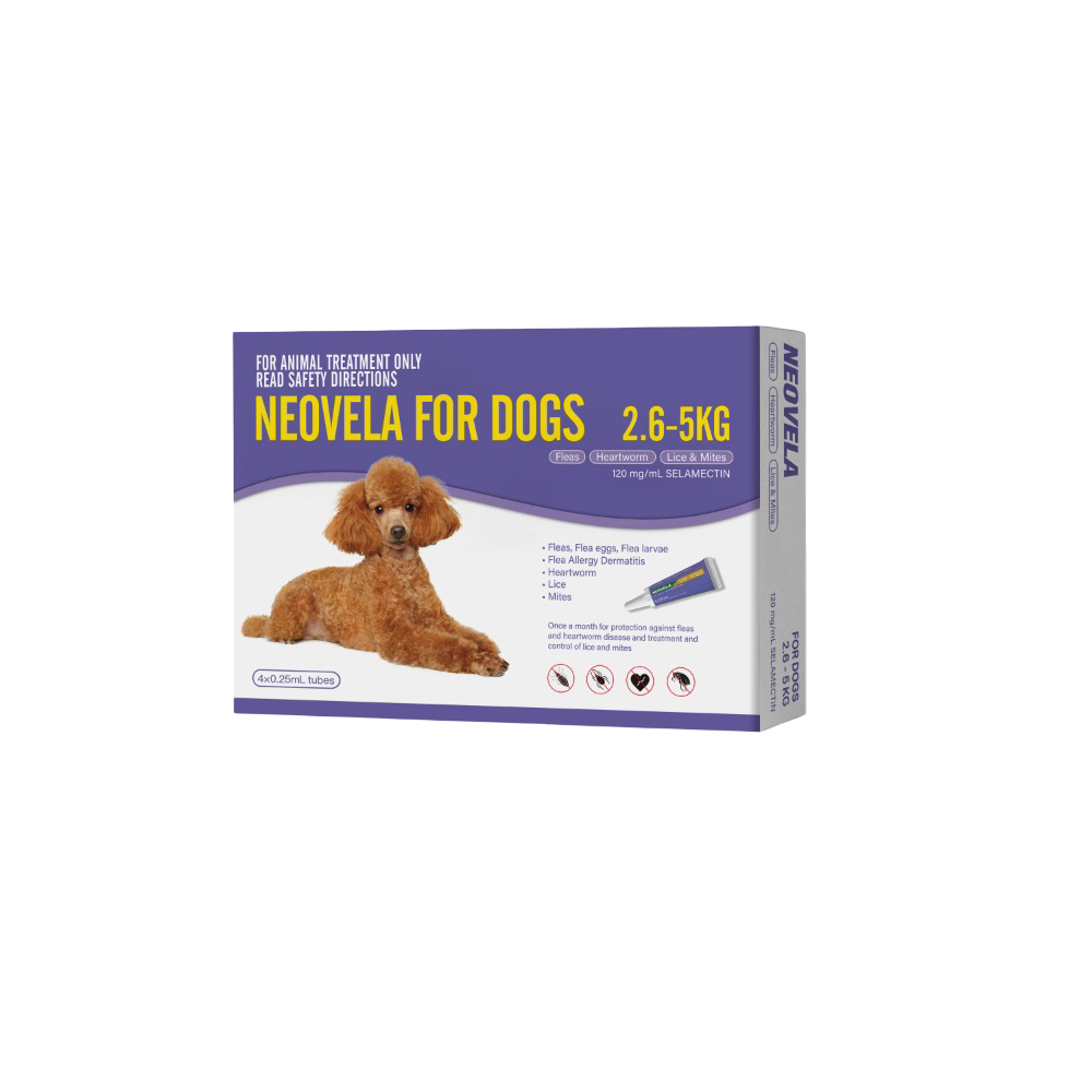 Flea And Worming For Small Dogs