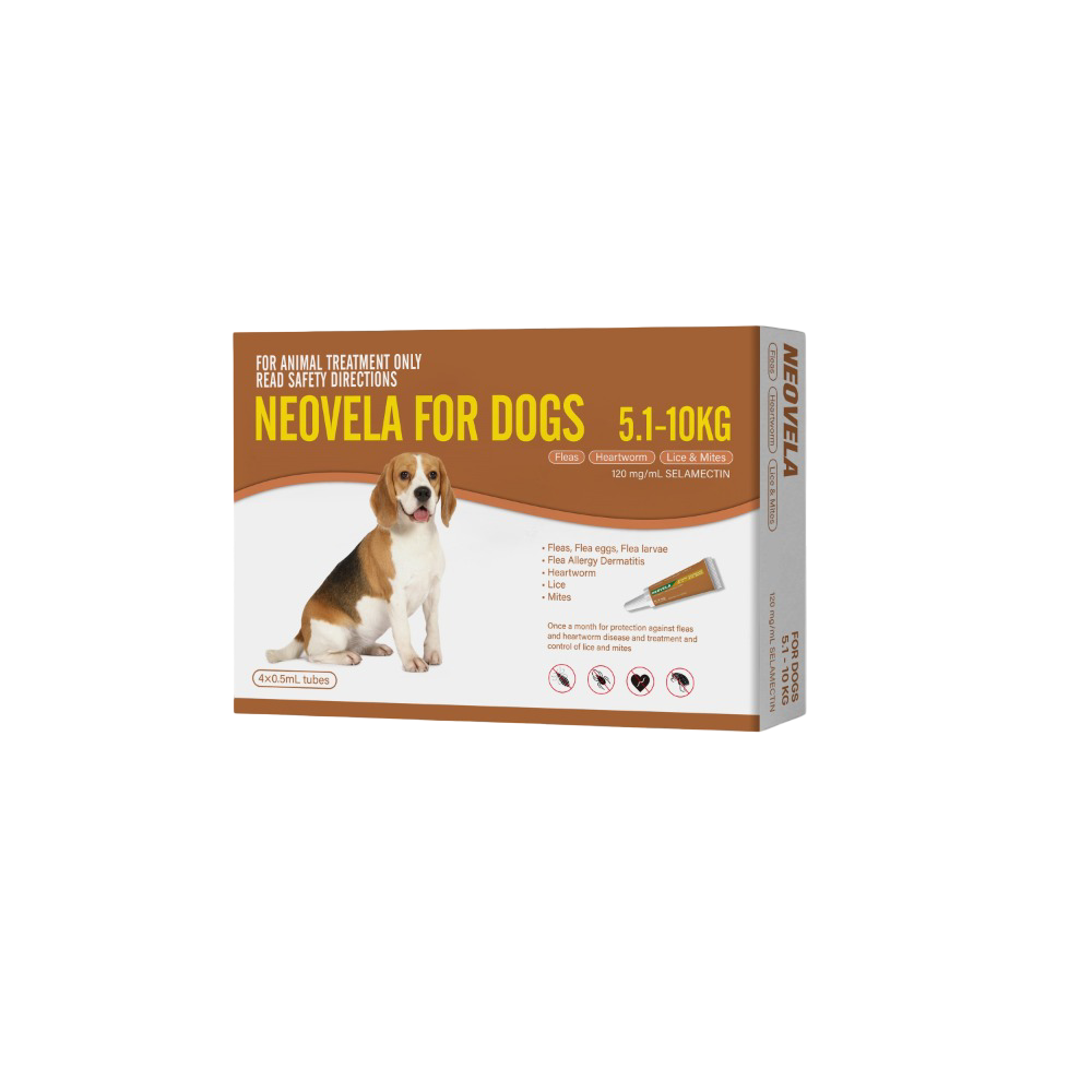 Flea And Worming For Medium Dogs