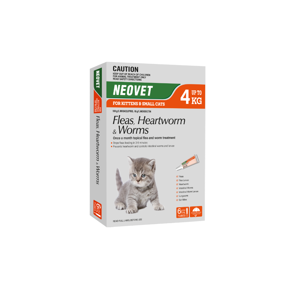 Flea And Worming For Kittens And Small Cats