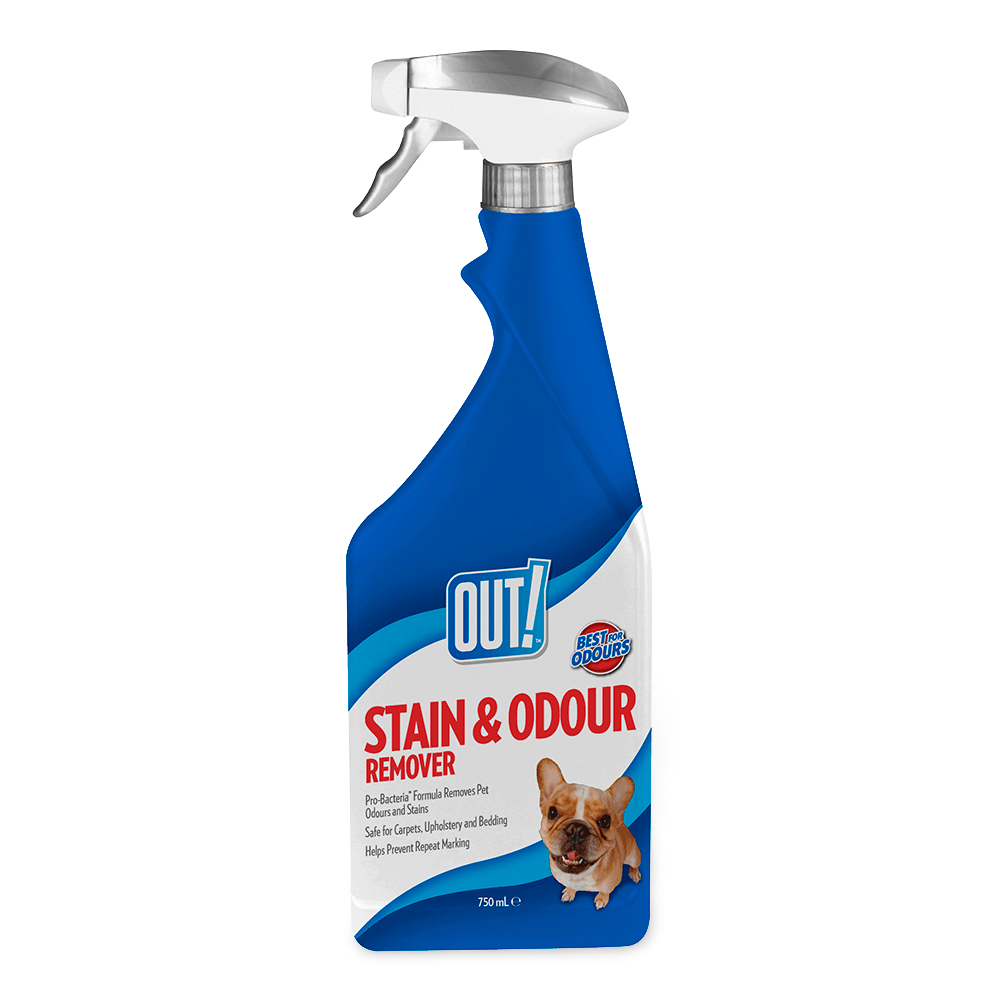 Out Stain And Odor Remover | Top dogs on price | Pet Circle
