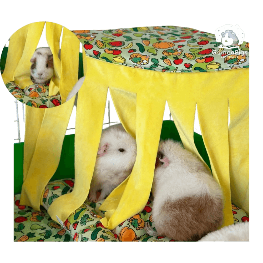 Ozzy Cages Corner Curtain Tent Veggie Patch Guinea Pig Cage Accessory