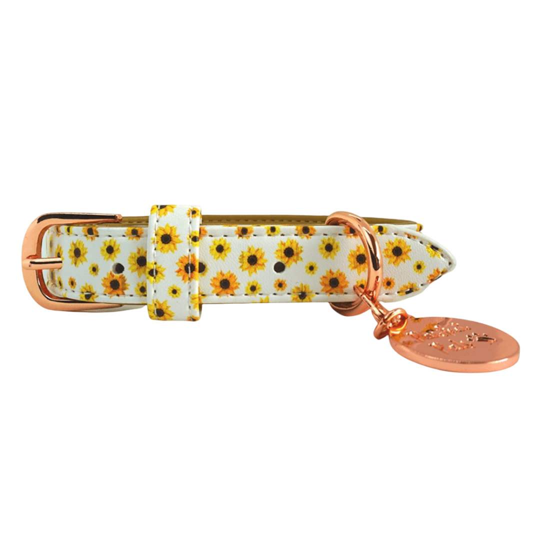 Pawfect Pals Sunshine On My Mind Collar