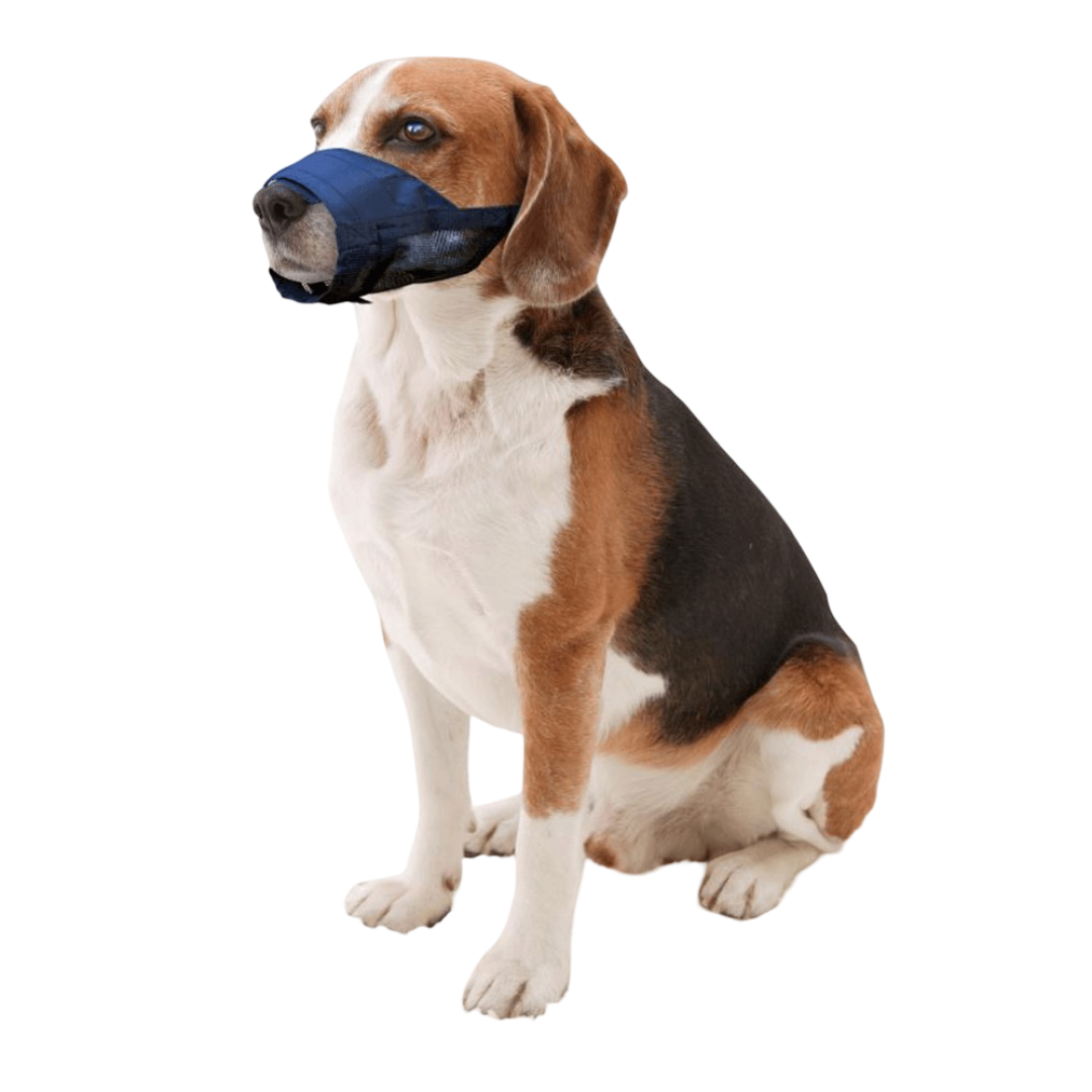 Adjustable Muzzle