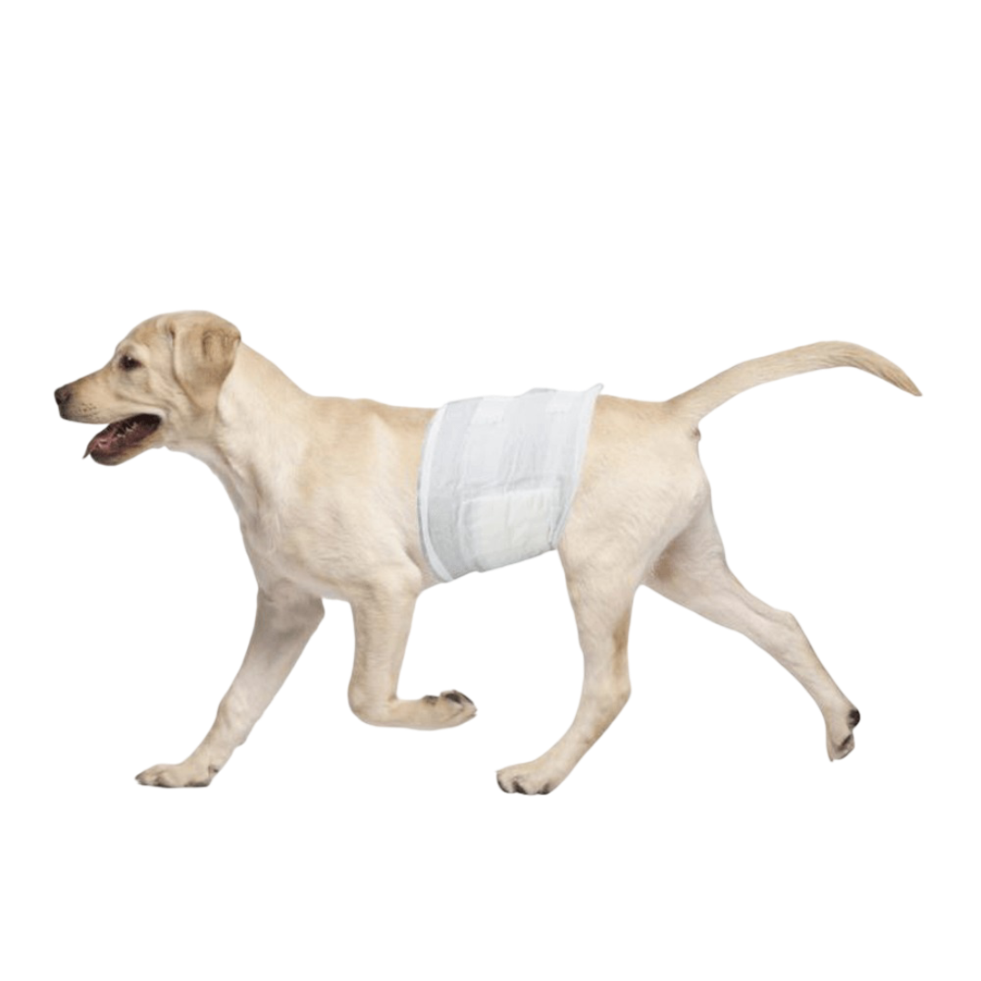 Vet Dog Ate Disposable Diaper CheckUps Dental Dog Treats 24 Count