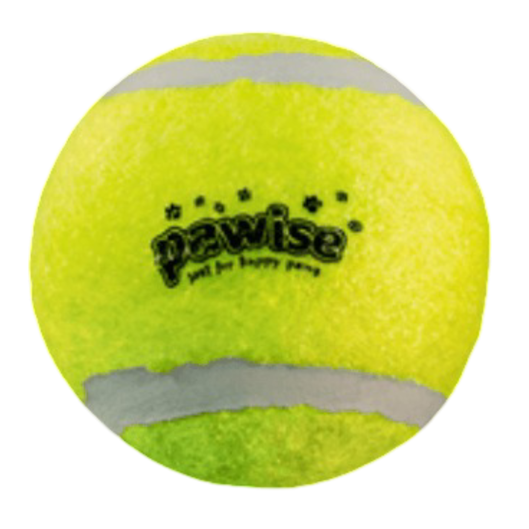 Pawise Tennis Balls for Dogs