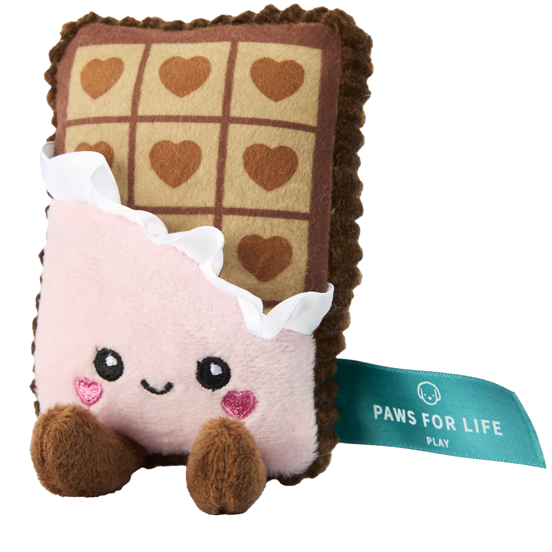 Paws For Life Chocolate Plush Dog Toy