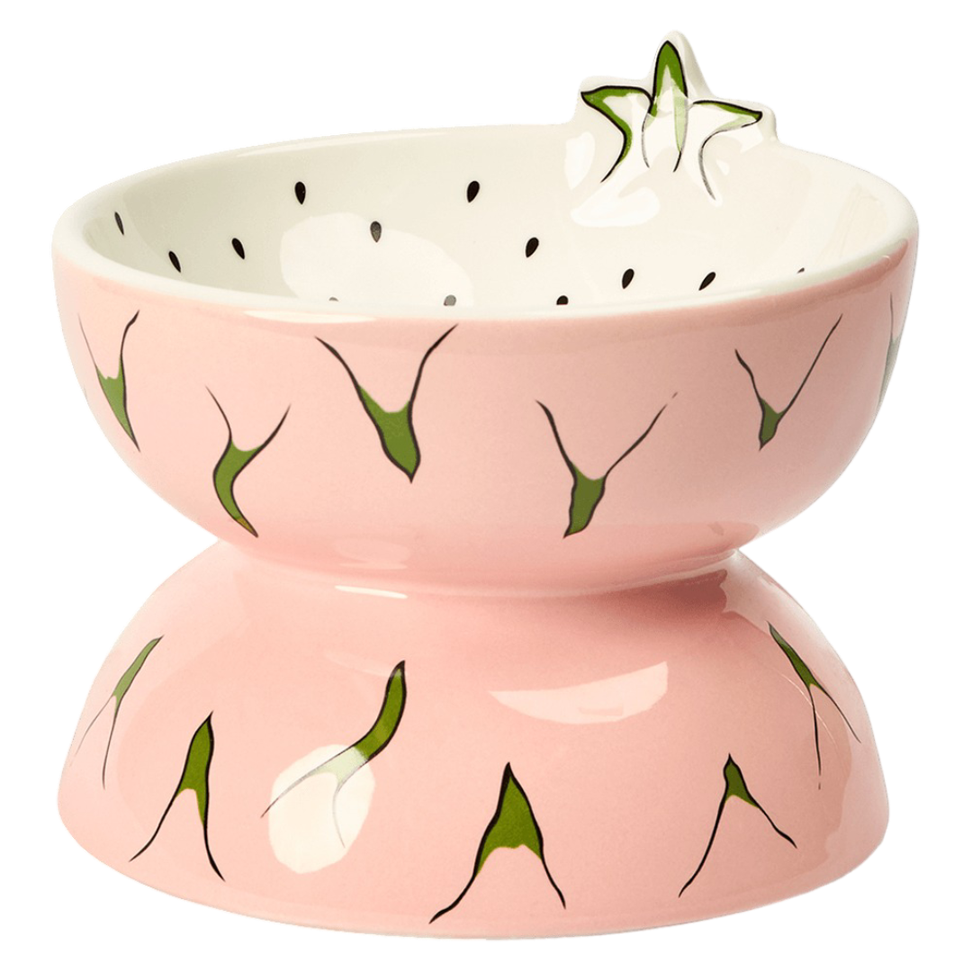 Paws For Life Dragon Fruit Ceramic Pet Bowl