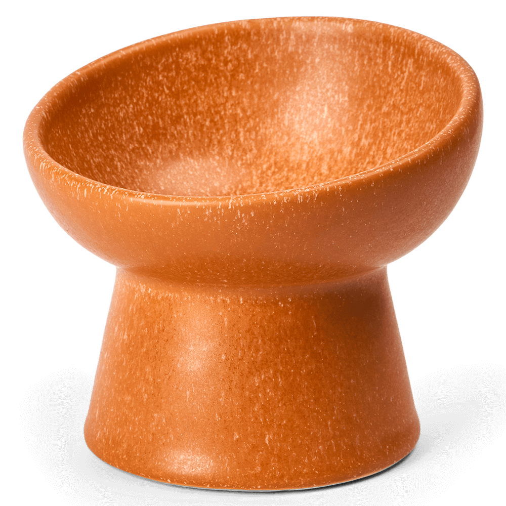 Paws For Life Ergonomic And Elevated Ceramic Pet Bowl in Terracotta Orange