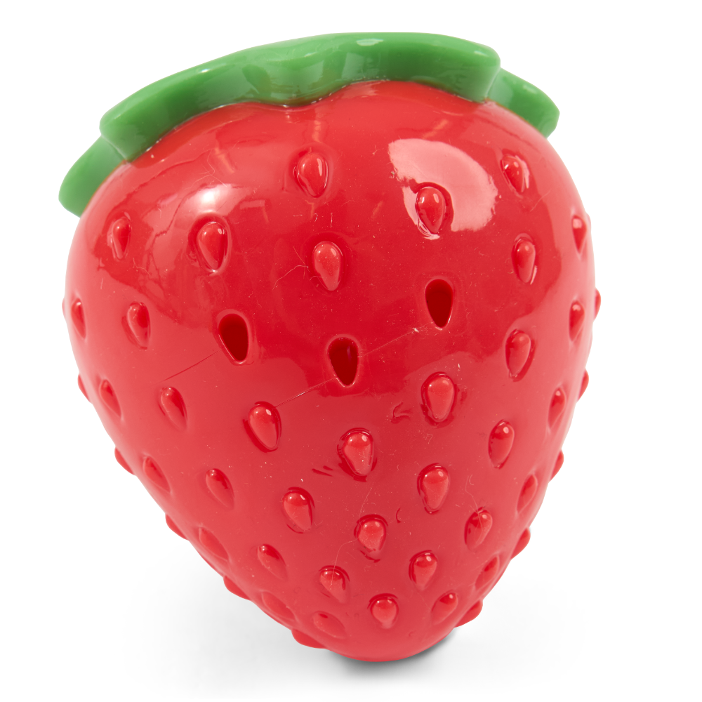 Paws For Life Freezable Strawberry Cooling Summer Dog Toy