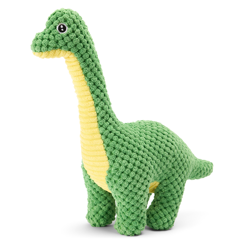 Paws For Life Long Neck Dino Plush Dog Toy