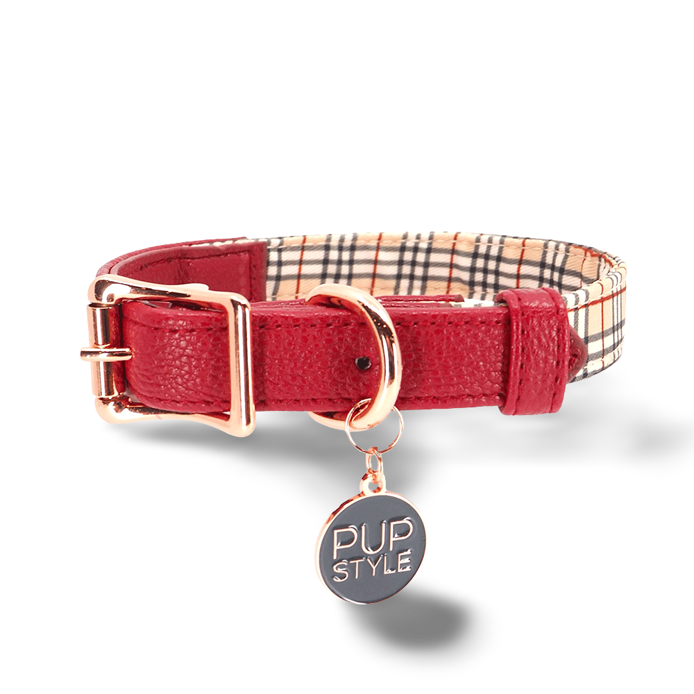 Pupstyle Houndbury City Collar
