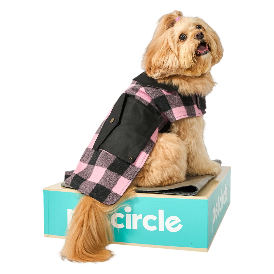 Swanndri Classic Wool Dog Coat Pink