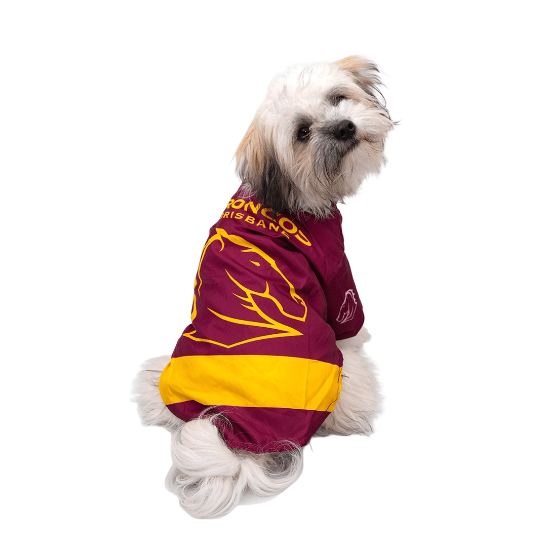 The Stubby Club NRL Brisbane Broncos Pet Jersey