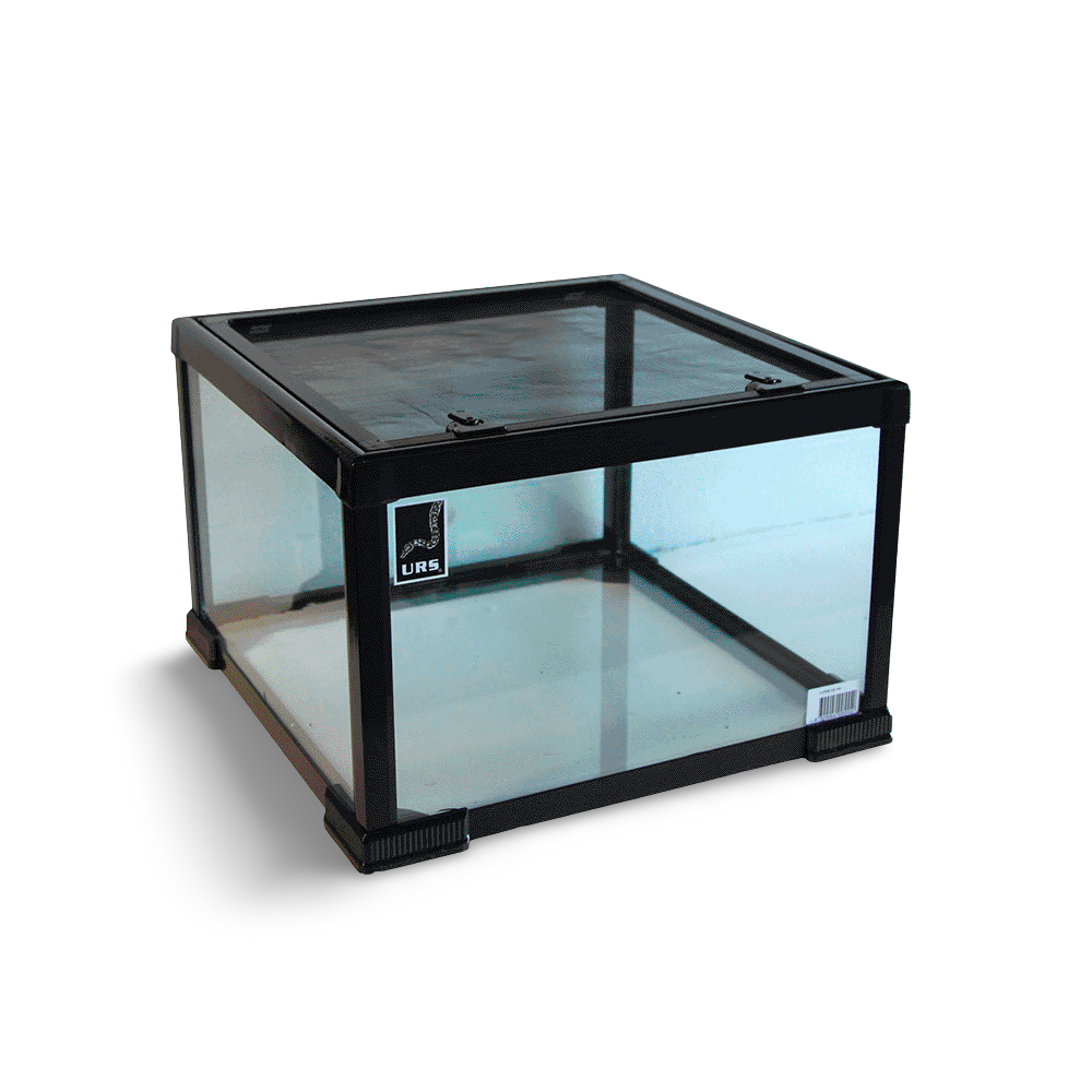Urs Pee Wee Terrarium