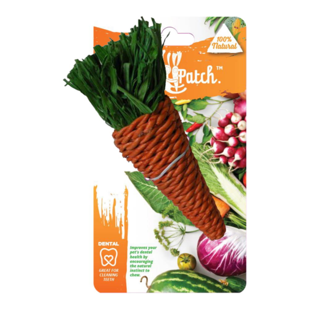 Veggie Patch Carrot Small Animal Chew Toy With Seagrass And Corn Husk